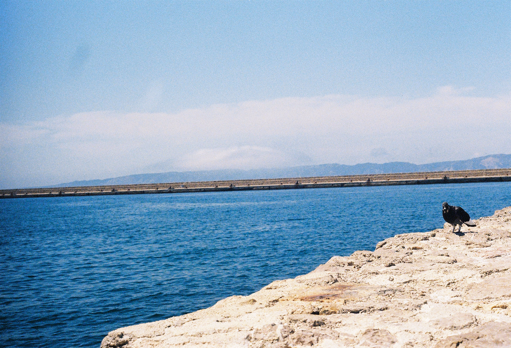Gallery Photo 35